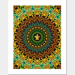 Turtle Kaleidoscope Posters and Art